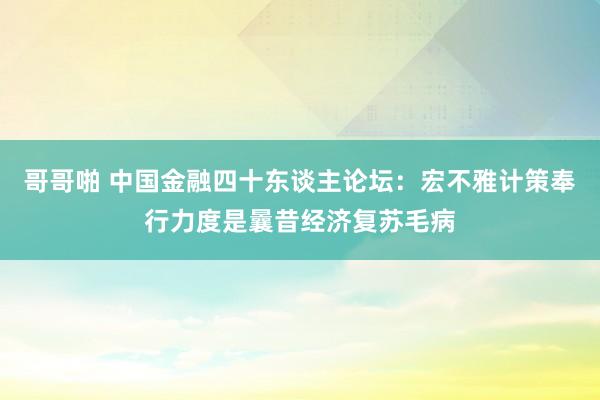 哥哥啪 中国金融四十东谈主论坛：宏不雅计策奉行力度是曩昔经济复苏毛病