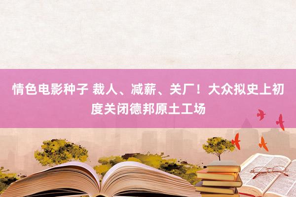 情色电影种子 裁人、减薪、关厂！大众拟史上初度关闭德邦原土工场