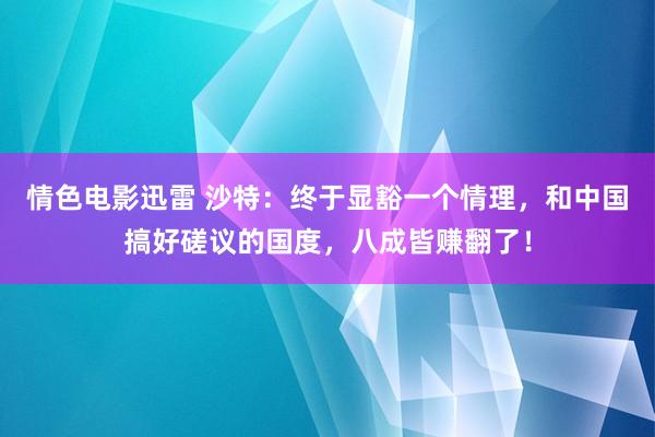 情色电影迅雷 沙特：终于显豁一个情理，和中国搞好磋议的国度，八成皆赚翻了！