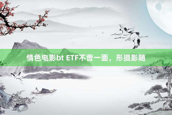 情色电影bt ETF不啻一面，形摄影随