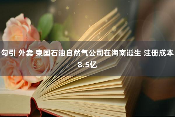 勾引 外卖 柬国石油自然气公司在海南诞生 注册成本8.5亿