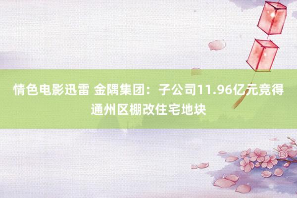 情色电影迅雷 金隅集团：子公司11.96亿元竞得通州区棚改住宅地块