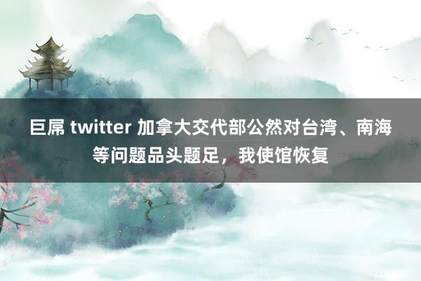 巨屌 twitter 加拿大交代部公然对台湾、南海等问题品头题足，我使馆恢复