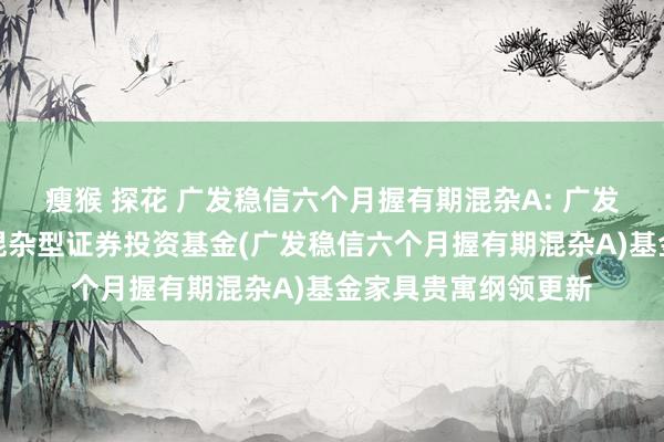 瘦猴 探花 广发稳信六个月握有期混杂A: 广发稳信六个月握有期混杂型证券投资基金(广发稳信六个月握有期混杂A)基金家具贵寓纲领更新