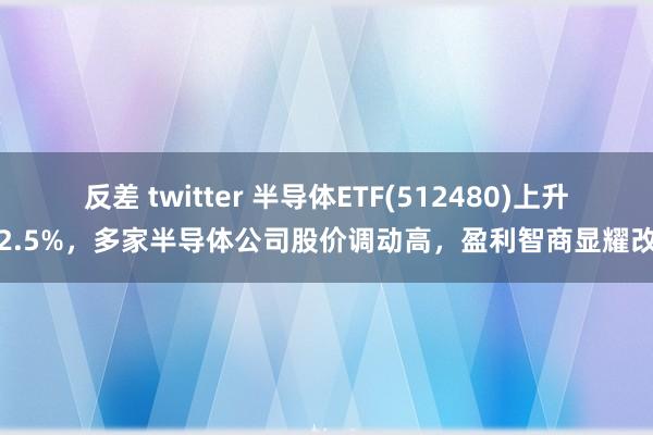 反差 twitter 半导体ETF(512480)上升超2.5%，多家半导体公司股价调动高，盈利智商显耀改善