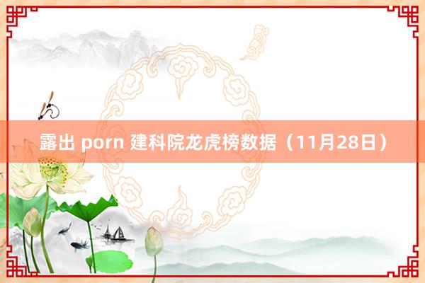 露出 porn 建科院龙虎榜数据（11月28日）