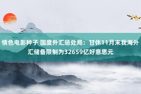 情色电影种子 国度外汇惩处局：甘休11月末我海外汇储备限制为32659亿好意思元