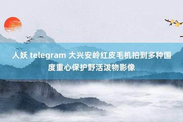 人妖 telegram 大兴安岭红皮毛机拍到多种国度重心保护野活泼物影像