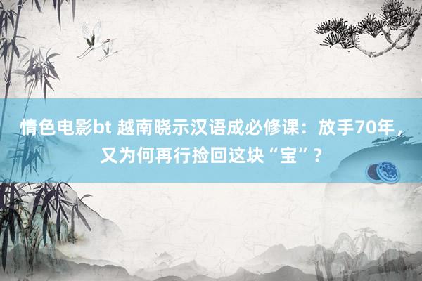 情色电影bt 越南晓示汉语成必修课：放手70年，又为何再行捡回这块“宝”？