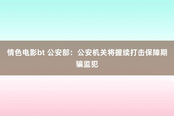 情色电影bt 公安部：公安机关将握续打击保障期骗监犯