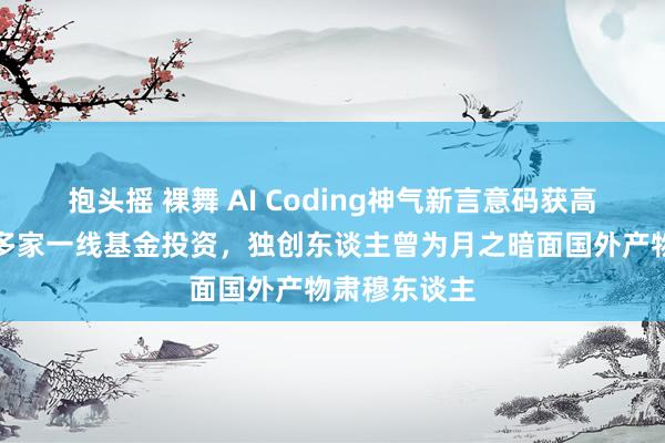 抱头摇 裸舞 AI Coding神气新言意码获高榕、真格等多家一线基金投资，独创东谈主曾为月之暗面国外产物肃穆东谈主