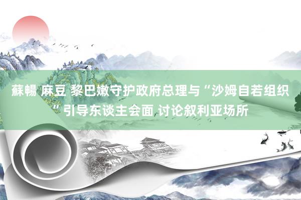 蘇暢 麻豆 黎巴嫩守护政府总理与“沙姆自若组织”引导东谈主会面 讨论叙利亚场所