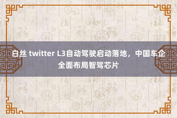 白丝 twitter L3自动驾驶启动落地，中国车企全面布局智驾芯片