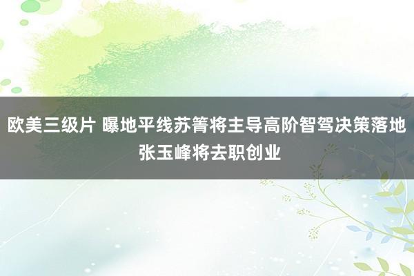 欧美三级片 曝地平线苏箐将主导高阶智驾决策落地 张玉峰将去职创业