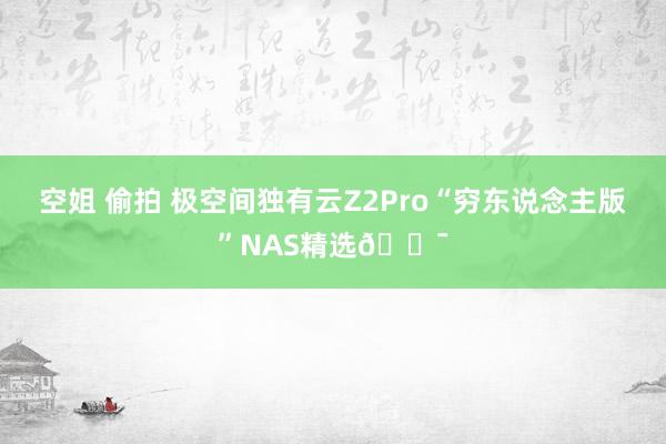 空姐 偷拍 极空间独有云Z2Pro“穷东说念主版”NAS精选🎯