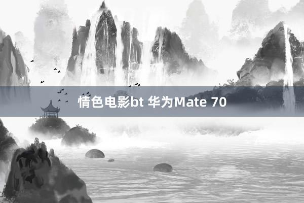 情色电影bt 华为Mate 70